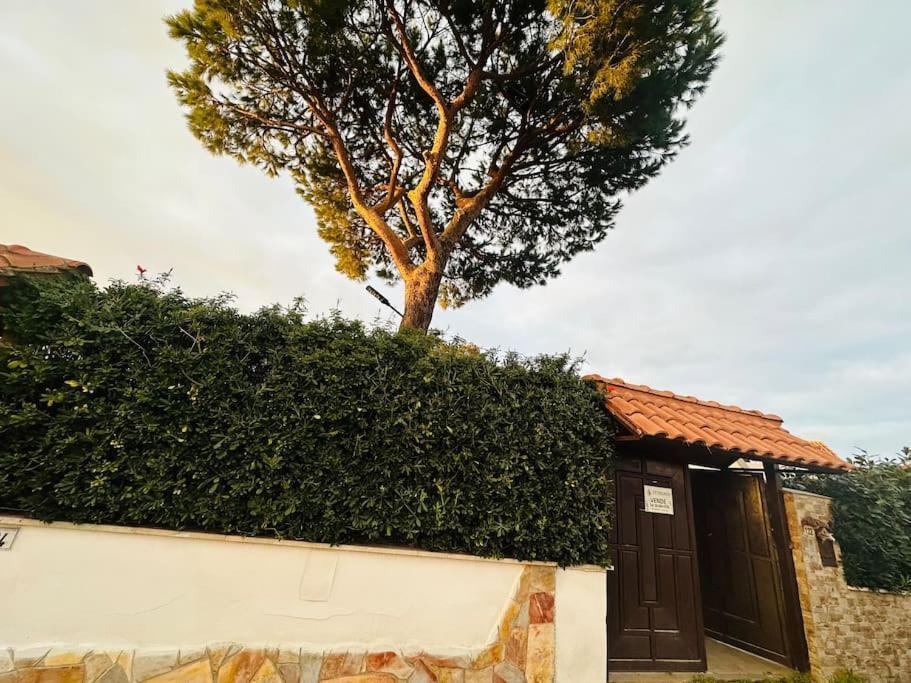 Вилла Fontana House Marina di Cerveteri Экстерьер фото
